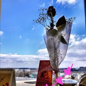 Meet your Posher, Meixi